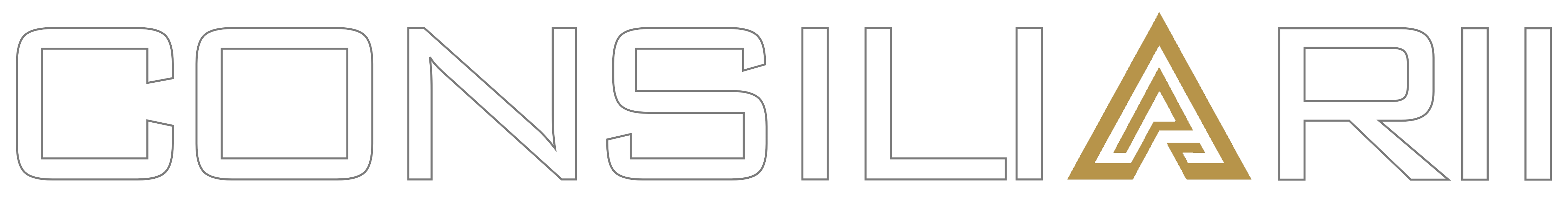 Consiliarii building works